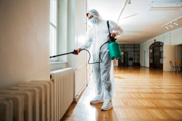 Best Fumigation Services  in Chester, MD